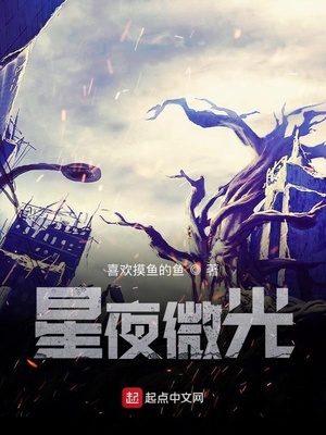 星夜微光