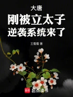 和女民警的浪漫故事